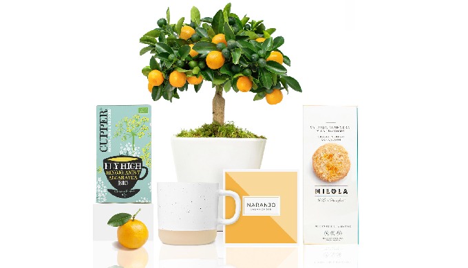 arbol frutal naranjo con productos gourmet desayuno