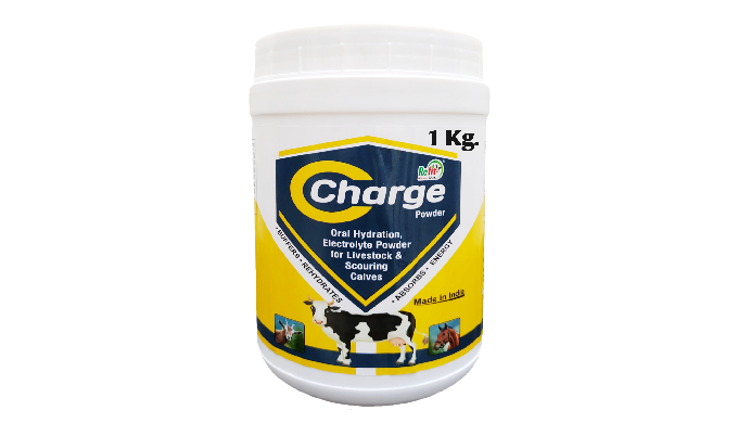Available in 1 Kg 5 Kg Best Electrolyte powder for cattle prevents negative energy balance and maint...