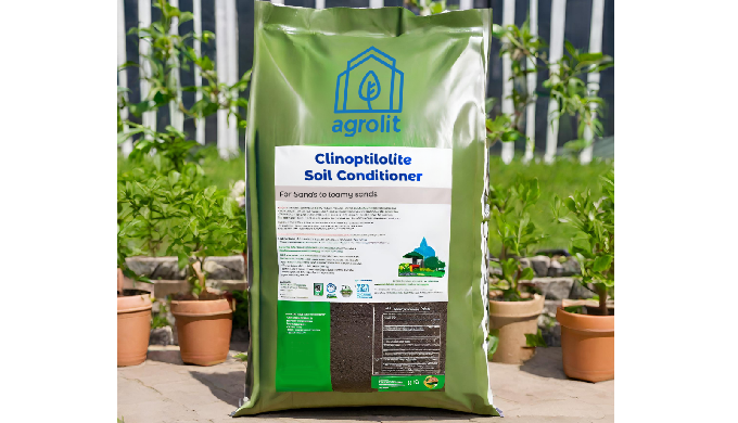 Clinoptilolite, which belongs to zeolite family of minerals is a volcanic m...