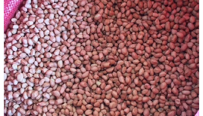 Type: Peanut, Red Skin Cultivation Type: COMMON Processing Type: Raw Style: Dried Packaging: 20-30kg...