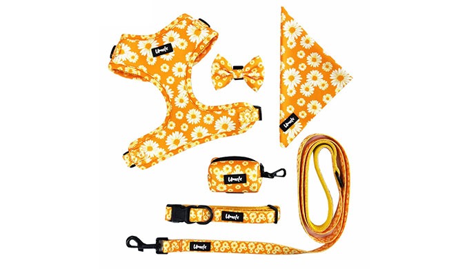 Colorful Pattern Printed: this dog harness is design with unique patterns printed, individual printi...
