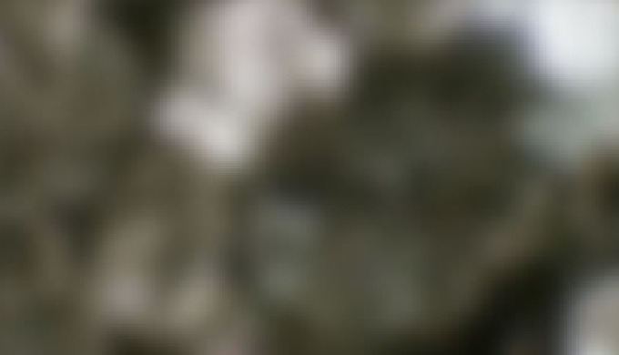 Fine powder graphites These graphites are mixtures of macrocrystalline natural graphite and syntheti...
