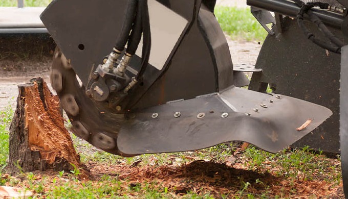 Are you tired of that annoying tree stump taking up space in your yard? Well, you’re in luck! We hav...