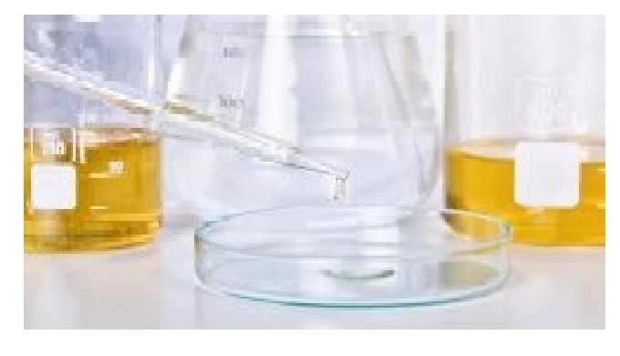 Diferencia entre los productos qu&iacute;micos org&aacute;nicos e inorg&aacute;nicos