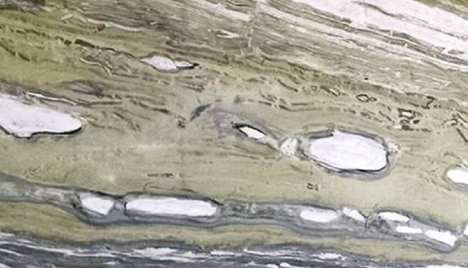 Brezilian Turtle Marble