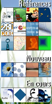 Pourquoi être présent sur Internet ? Pour quoi faire ? Pour qui ? Poisson Soluble a la solution 