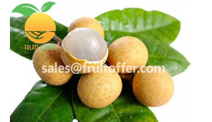 Product: Whole Fresh Longan Export Type: FRESH, Delivered via AIR Origin: Vietnam Color: Bright Brow...