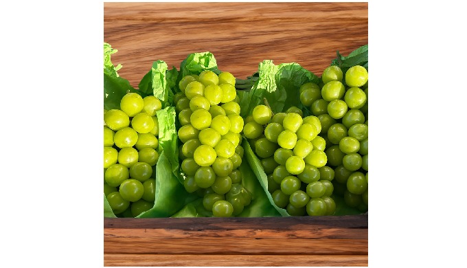 Premium Korean Shine Muscat Green Grapes are fresh Korean grapes known for ...