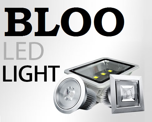 BLOO LED LIGHT & FLOOD LIGHT