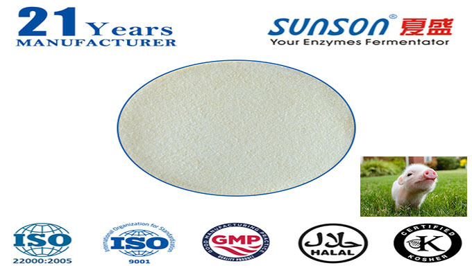 complex enzyme for ruminat animal feed Nutrizyme SFC-061--professional enzyme manufacturer since 1996