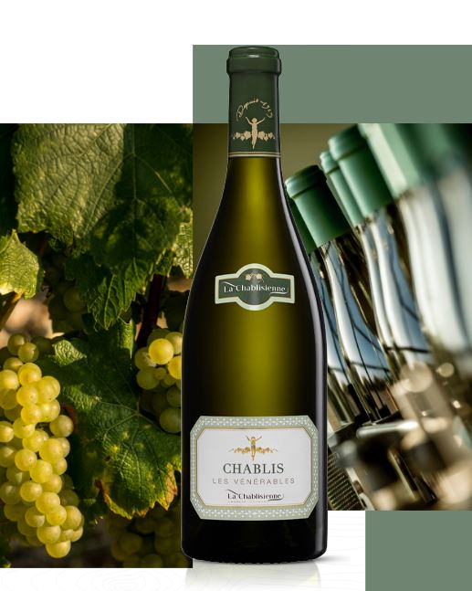 Chablis Les Vénérables