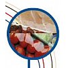 Le film rétractable en PVC, PE et Polyolefine.Sert à emballer et protéger tous les produits et à reg...