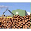 Production & Utilisation- 350 000 tonnes de bois sciées par an- 1ère scierie française spécialis...