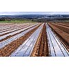 Utilisés dans l'ensemble des cultures maraîchères (melons, fraises, tomates, carottes, salades…) cha...