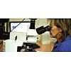 To meet the strict demands on materials for quality control or release certification, Metal Testing ...