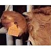 Le règlement CE 820/1997 (abrogé par le règlement CE 1760/2000) rend l'identification des bovins obl...