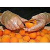 Les fruits de saison sont rigoureusement sélectionnés par M. Chatelain auprès de producteurs locaux....