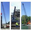 Grues