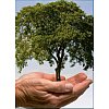 Soucieux de notre environnement, METAPLAST se conforme à la norme ISO 14001 et au REACH – UE 1907/20...