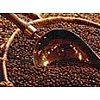 Dégustez les meilleurs cafés moulus.Crema aroma, Aroma Club, Aroma Point, Décaféiné.Une renommée int...