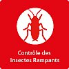 Contrôle des insectes rampants