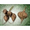 INCI name: Pachyrrhizus Erosus Root EstractCharacteristic Yambean is a component in the Indonesian t...