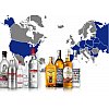 Mondiale des Vins distribue plus d'une trentaire de références d'alcool. Nous sommes très peu sur ce...