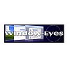 Window-Eyes est un programme qui permet de piloter l’ordinateur tout en ayant un retour vocal de tou...