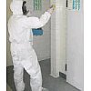- blattes, moustiques, mouches, puces, punaises, fourmis, teignes, insectes des produits stockés (te...
