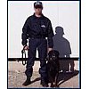 L’agent conducteur de chien de défense effectue des missions de surveillance. Il assure la sécurité ...