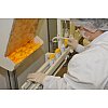 Conditionnement Agroalimentaire et Pharmaceutique