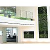 Le système WALLFLORE Per® distribué par Jardins de Gally permet la végétalisation de toute paroi ver...