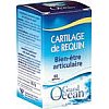Une solution douce et physiologique pour entretenir vos cartilages Plus ancien que le dinosaure, le ...