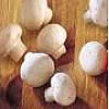 Notre gamme PÉGASE comprend notamment des champignons Hotel (pieds et morceaux), 1er choix (entier) ...