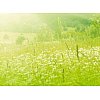 Produits de traitement d'odeurs et senteurs