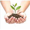 Services en g&eacute;nomique pour l'environnement