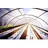 Ces produits sont destinés au traitement des sols. Les films de solarisation sont utilisés entre 2 c...