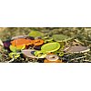 K-LICE imagine et fabrique des objets de communication pratiques et originaux qui mettent naturellem...
