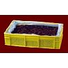 Cartons 12.5 kg ou en sachet de 3kg ou 1 kgCagette plastique 15 kg qualité type:8,9,10 Calibre: smal...