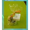 ssortiments de chocolat noir, blanc, lait :VERRINE 100g Pralinés, pâtes d’amande,pâtes de fruits, sa...