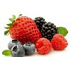 Frutas rojas congeladas, en puré, concentrados, en zumo o conserva