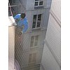 Anti Pigeon Comme tous les animaux, le volatiles et en particluier les pigeons sont porteurs de bact...