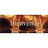 Spécialisé dans l'enseignement de la gestion des entreprises et du management, l'IAE de Paris propos...