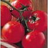 Nos produits sont récoltés principalement en Europe du Sud (Italie, Portugal, Espagne) et proviennen...