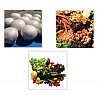 Driven by the desire to bring nature’s freshness into your kitchens, we use Freeze Drying technology...