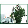 Des espaces verts a voir et à vivre, tout au long de l'année ! De la création à l'élagage et traitem...