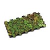 For green roof technology to have a significant beneficial effect on our environment then it has to ...