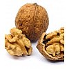 Protéines (g) 18,22 Lipides (g) 46,92 Glucides (g) 27,13 Fibres (g) 5,9 Sels minéraux & oligo-él...