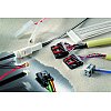 Connector assemblies & wiring modulesConnector assemblies and wiring modules form the nervous sy...