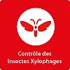 Contrôle des insectes xylophages